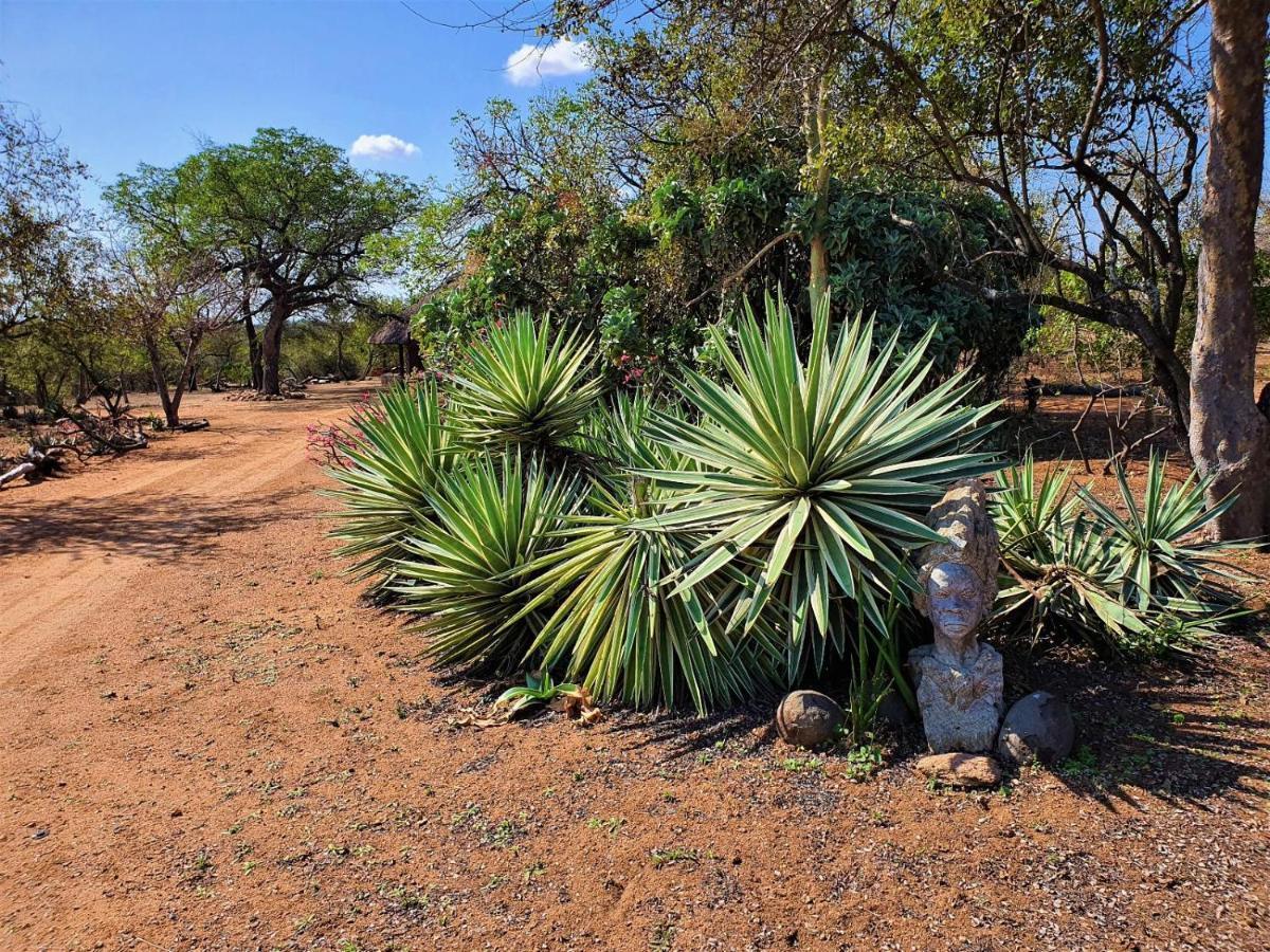 Masorini Bush Lodge & Safari Tents Phalaborwa Exterior photo
