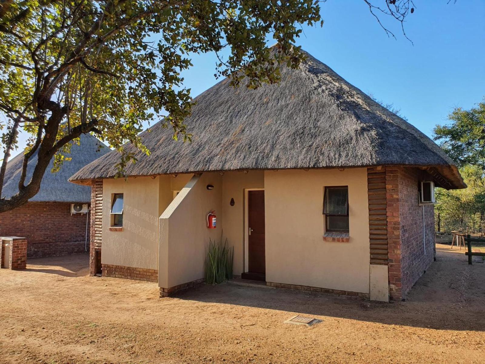 Masorini Bush Lodge & Safari Tents Phalaborwa Room photo
