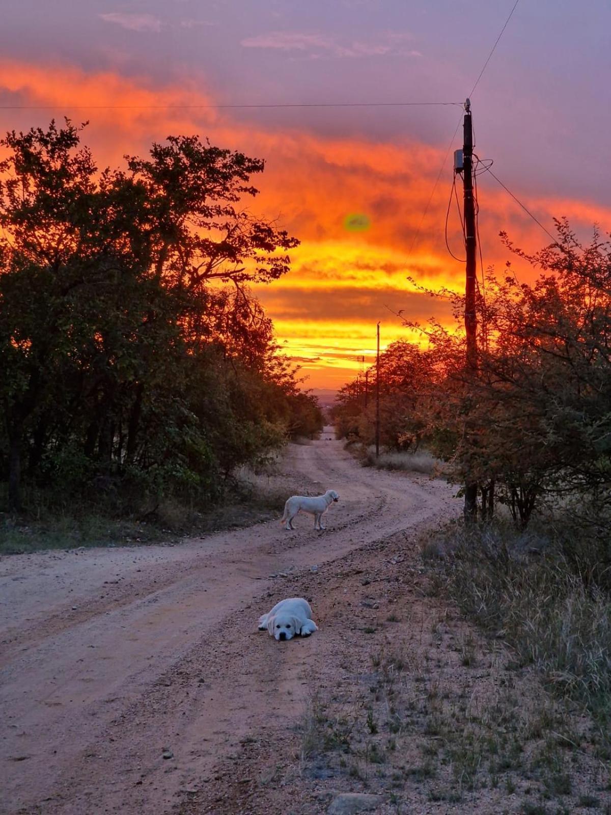 Masorini Bush Lodge & Safari Tents Phalaborwa Exterior photo